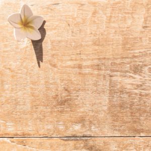 Graphiste à Loctudy