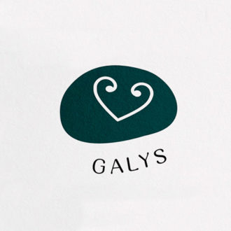 Logo Galys