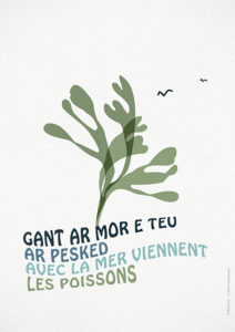 Illustration - BENELELA Studio graphique Pont-l'Abbé, Loctudy