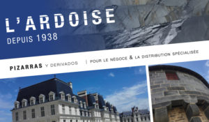 Insertion publicitaire