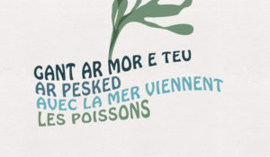 Illustration - BENELELA Studio graphique Pont-l'Abbé, Loctudy